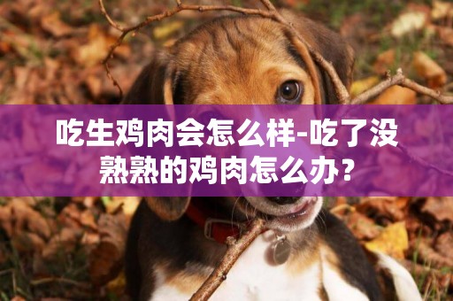 吃生雞肉會怎么樣-吃了沒熟熟的雞肉怎么辦？