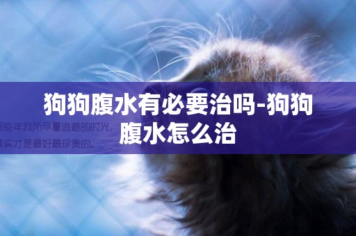 狗狗腹水有必要治嗎-狗狗腹水怎么治