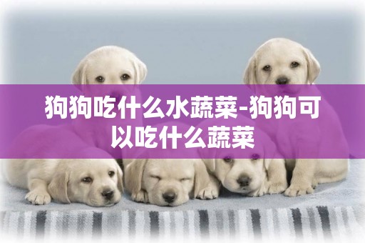 狗狗吃什么水蔬菜-狗狗可以吃什么蔬菜