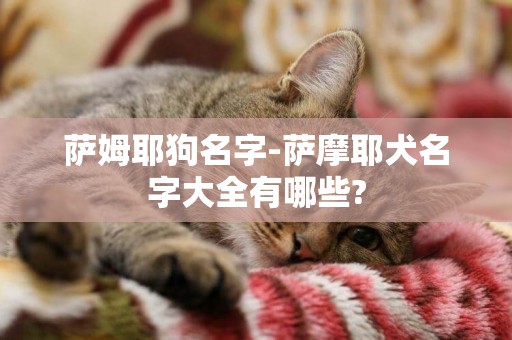 薩姆耶狗名字-薩摩耶犬名字大全有哪些?