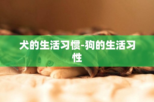 犬的生活習慣-狗的生活習性