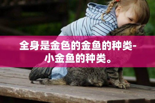 全身是金色的金魚的種類-小金魚的種類。