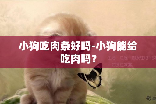 小狗吃肉條好嗎-小狗能給吃肉嗎？