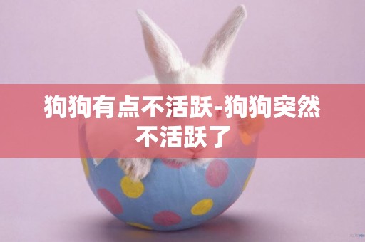 狗狗有點不活躍-狗狗突然不活躍了