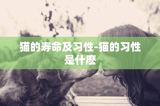 貓的壽命及習性-貓的習性是什麼