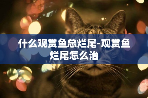 什么觀賞魚總爛尾-觀賞魚爛尾怎么治