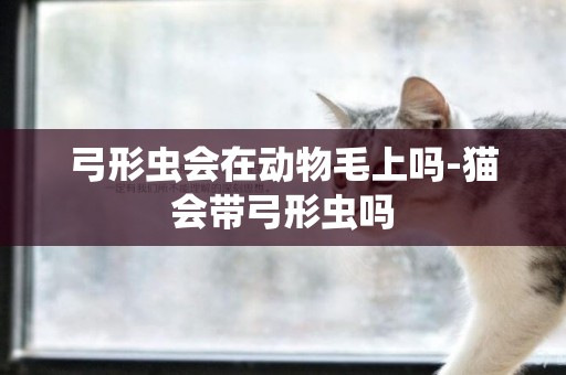 弓形蟲會在動物毛上嗎-貓會帶弓形蟲嗎