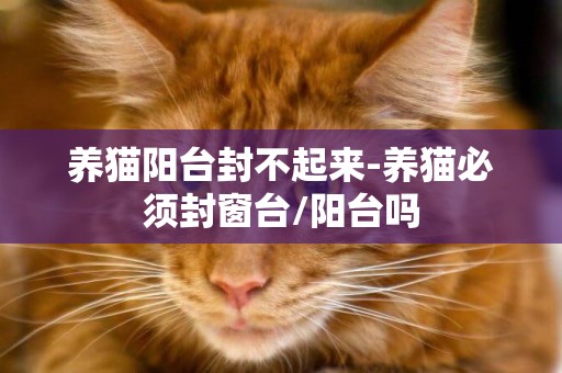 養貓陽臺封不起來-養貓必須封窗臺/陽臺嗎