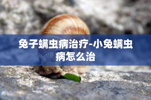 兔子螨蟲病治療-小兔螨蟲病怎么治