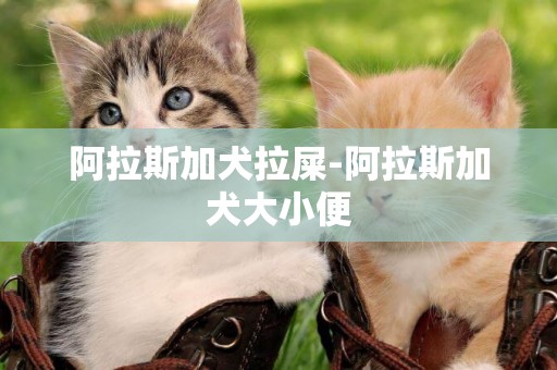 阿拉斯加犬拉屎-阿拉斯加犬大小便