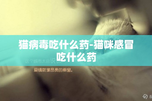 貓病毒吃什么藥-貓咪感冒吃什么藥