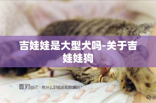 吉娃娃是大型犬嗎-關于吉娃娃狗