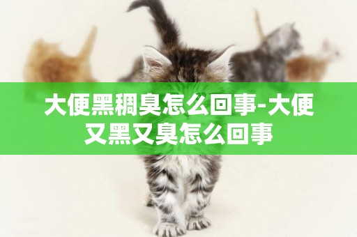 大便黑稠臭怎么回事-大便又黑又臭怎么回事
