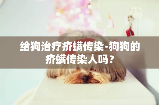 給狗治療疥螨傳染-狗狗的疥螨傳染人嗎？