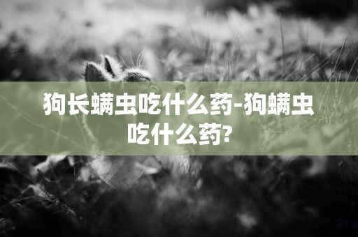 狗長螨蟲吃什么藥-狗螨蟲吃什么藥?