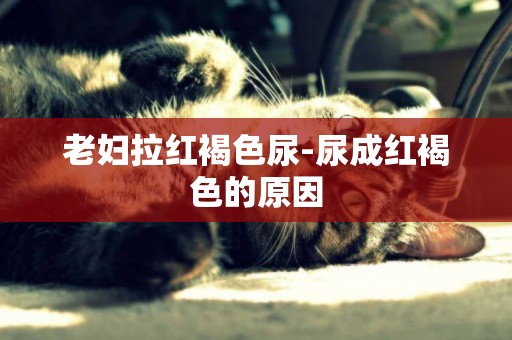 老婦拉紅褐色尿-尿成紅褐色的原因
