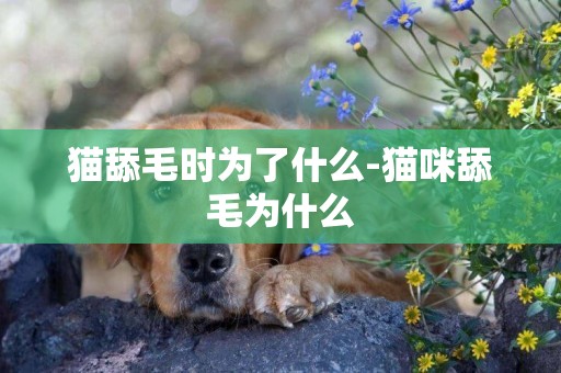 貓舔毛時為了什么-貓咪舔毛為什么
