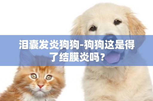淚囊發炎狗狗-狗狗這是得了結膜炎嗎？