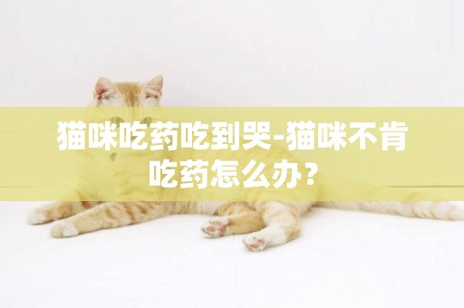 貓咪吃藥吃到哭-貓咪不肯吃藥怎么辦？