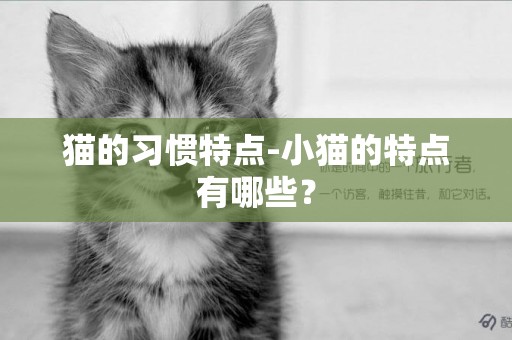 貓的習慣特點-小貓的特點有哪些？