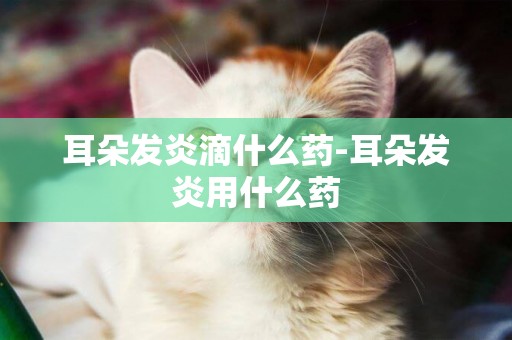 耳朵發炎滴什么藥-耳朵發炎用什么藥