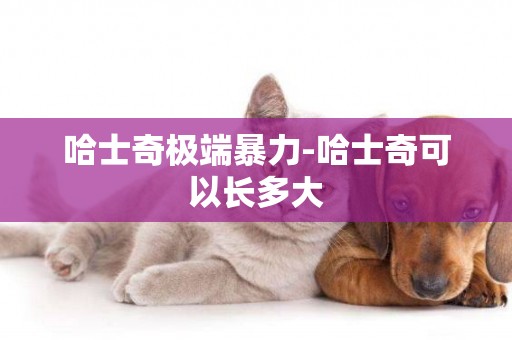 哈士奇極端暴力-哈士奇可以長多大