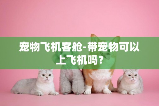 寵物飛機客艙-帶寵物可以上飛機嗎？