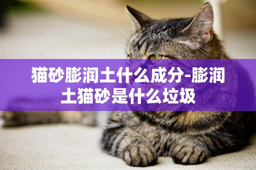 貓砂膨潤土什么成分-膨潤土貓砂是什么垃圾