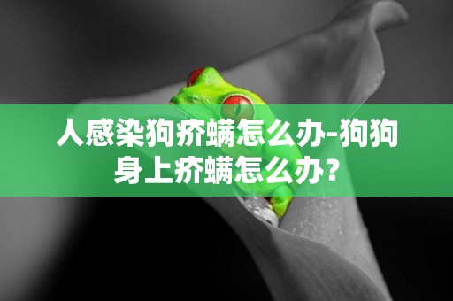 人感染狗疥螨怎么辦-狗狗身上疥螨怎么辦？
