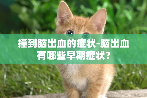 撞到腦出血的癥狀-腦出血有哪些早期癥狀？
