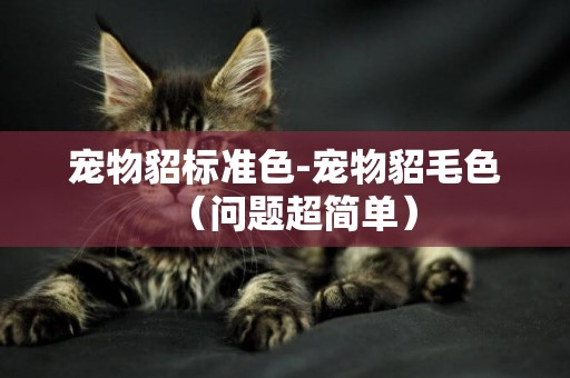 寵物貂標準色-寵物貂毛色（問題超簡單）