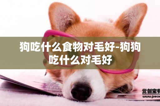狗吃什么食物對毛好-狗狗吃什么對毛好