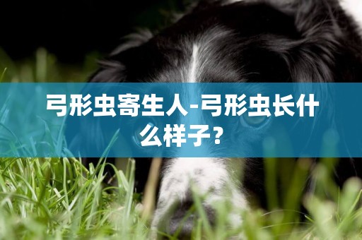 弓形蟲寄生人-弓形蟲長什么樣子？
