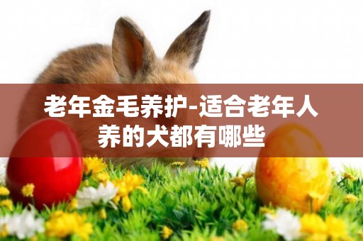 老年金毛養護-適合老年人養的犬都有哪些
