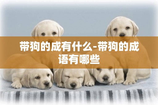 帶狗的成有什么-帶狗的成語有哪些