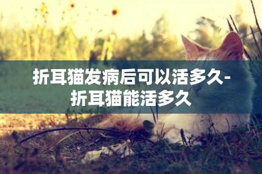 折耳貓發病后可以活多久-折耳貓能活多久