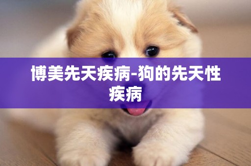 博美先天疾病-狗的先天性疾病