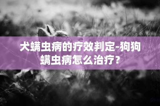 犬螨蟲病的療效判定-狗狗螨蟲病怎么治療？