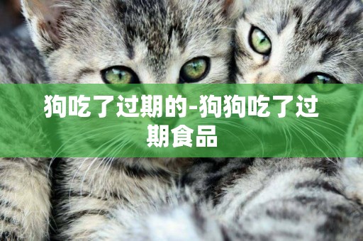 狗吃了過期的-狗狗吃了過期食品