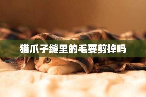 貓爪子縫里的毛要剪掉嗎