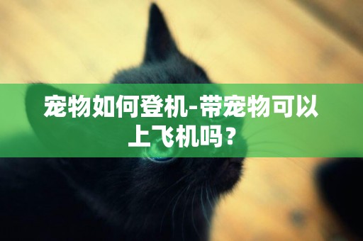 寵物如何登機-帶寵物可以上飛機嗎？