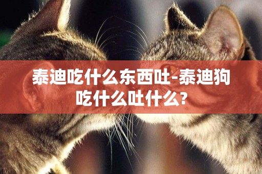 泰迪吃什么東西吐-泰迪狗吃什么吐什么?