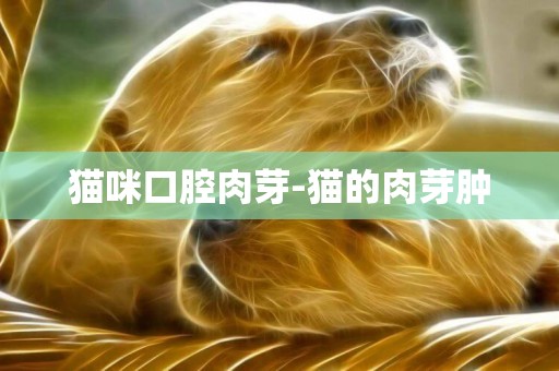貓咪口腔肉芽-貓的肉芽腫