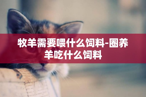 牧羊需要喂什么飼料-圈養羊吃什么飼料