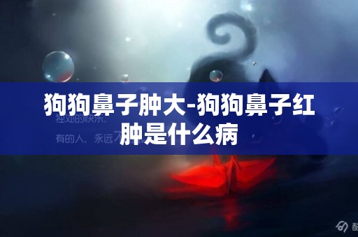 狗狗鼻子腫大-狗狗鼻子紅腫是什么病