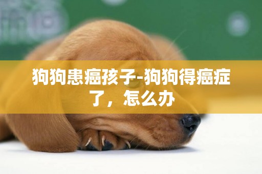 狗狗患癌孩子-狗狗得癌癥了，怎么辦