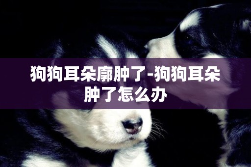 狗狗耳朵廓腫了-狗狗耳朵腫了怎么辦