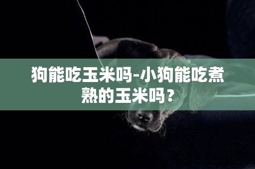 狗能吃玉米嗎-小狗能吃煮熟的玉米嗎？