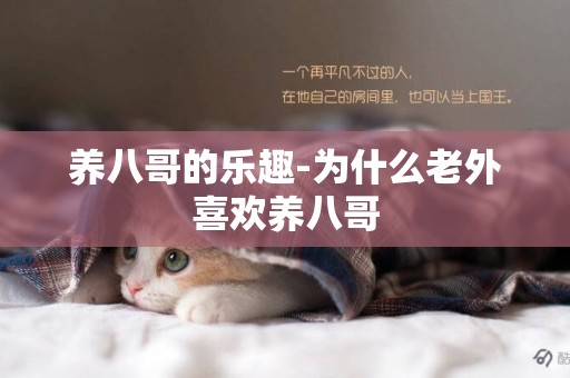 養八哥的樂趣-為什么老外喜歡養八哥