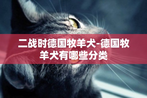 二戰時德國牧羊犬-德國牧羊犬有哪些分類